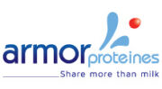 armor