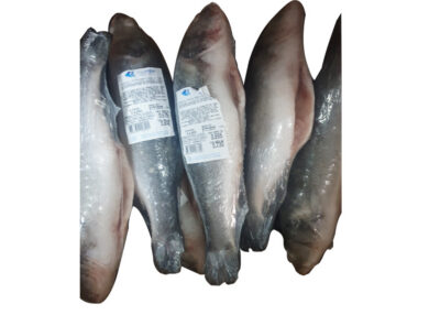 Seabass Guttes & Scaled - Image 2
