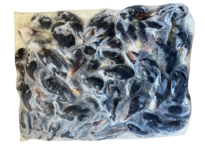 Whole Black Mussels 40/60 - Image 2