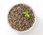 Ready-to-serve three- Colour Quinoa (Quinoa Tricolore Express) - Image 2